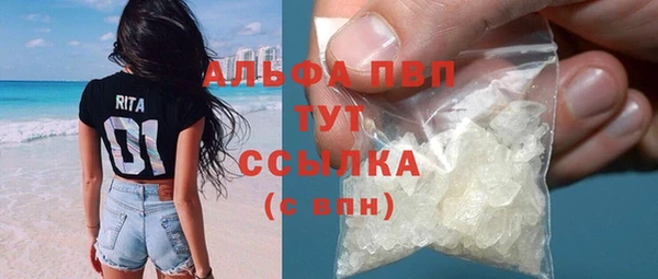 ГАЛЛЮЦИНОГЕННЫЕ ГРИБЫ Елабуга