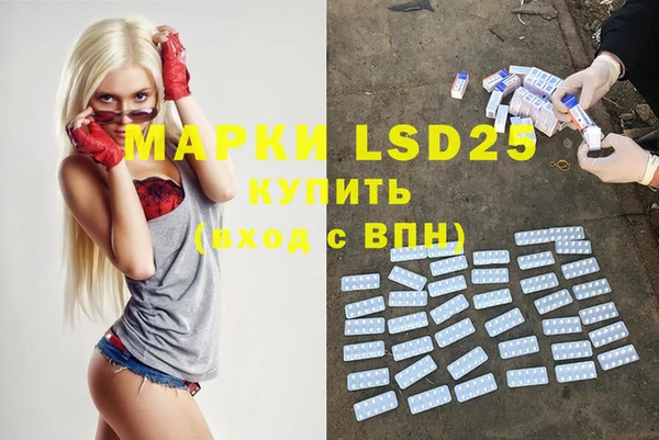 ГАЛЛЮЦИНОГЕННЫЕ ГРИБЫ Елабуга