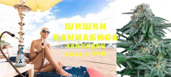 ГАЛЛЮЦИНОГЕННЫЕ ГРИБЫ Елабуга