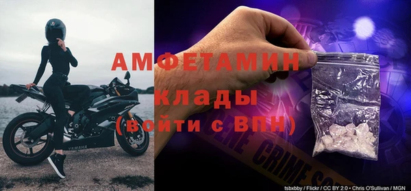 прущая мука Ельня