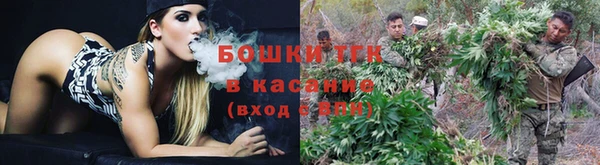 прущая мука Ельня